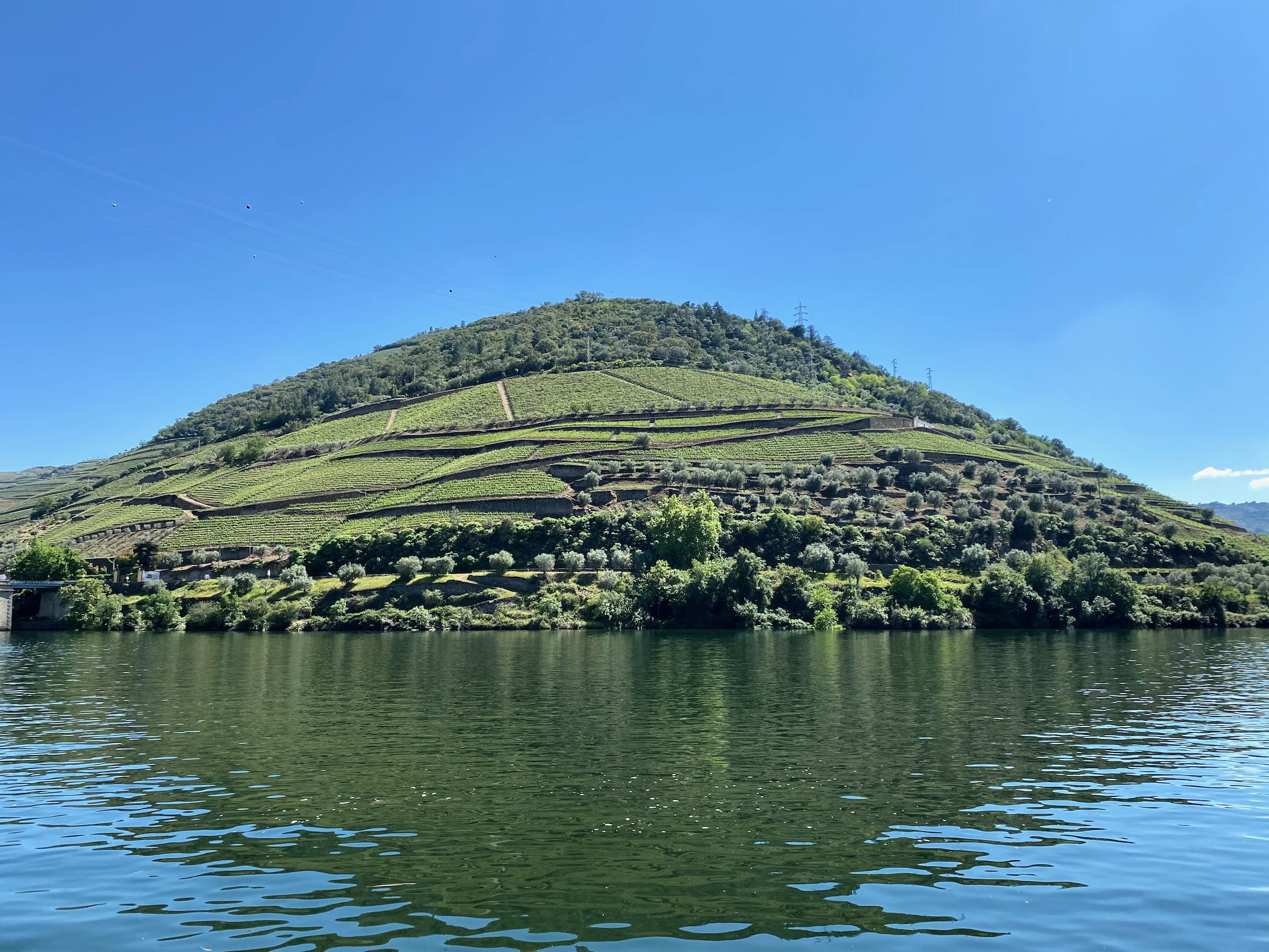 Douro Valley Maxwell Forbes