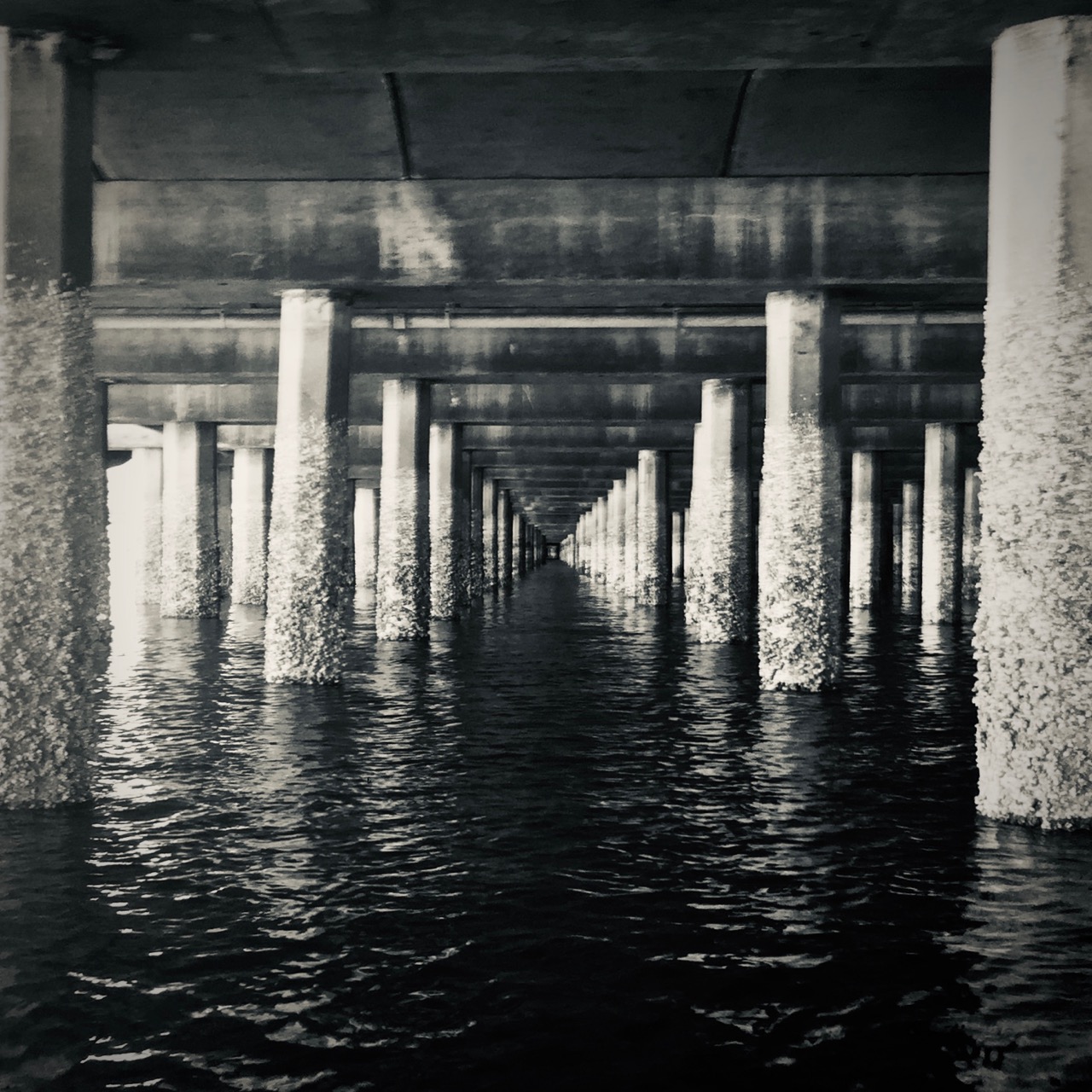 Wooden columns under a pier.